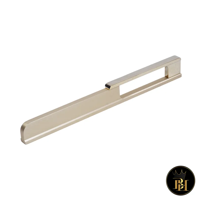 CABINET HANDLE DANDI